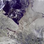 Ice in Barents and White Seas