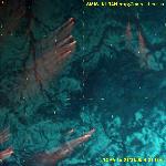 NOAA 14,   22.01.1999   9:13 GMT  Etypur river region 