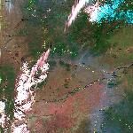Fires in Amur Region
