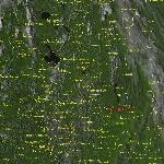 Fires in Center of European Russia (19-25).07.2002